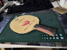 劉詩雯zlf