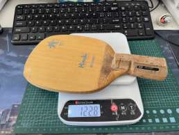 982美洲桧 铁牌